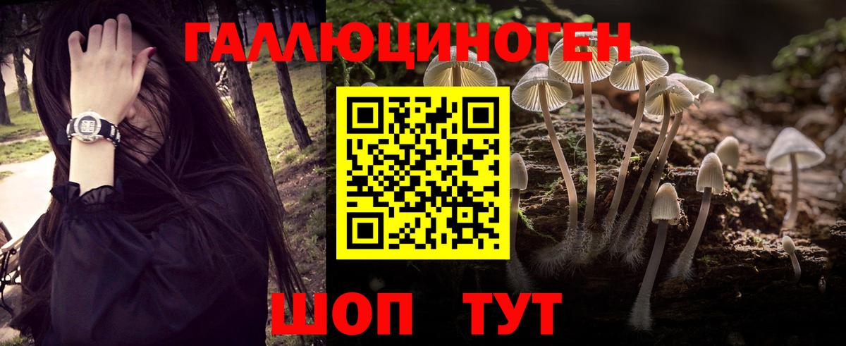 Псилоцибиновые грибы Magic Shrooms  Вход с VPN  Елизово 